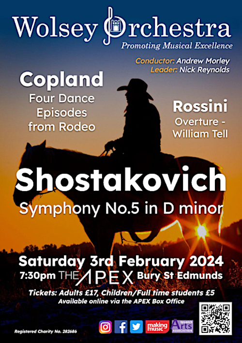 poster for Wolsey orchestra concert 3rd Febuary 2024, the Apex Bury St Edmunds