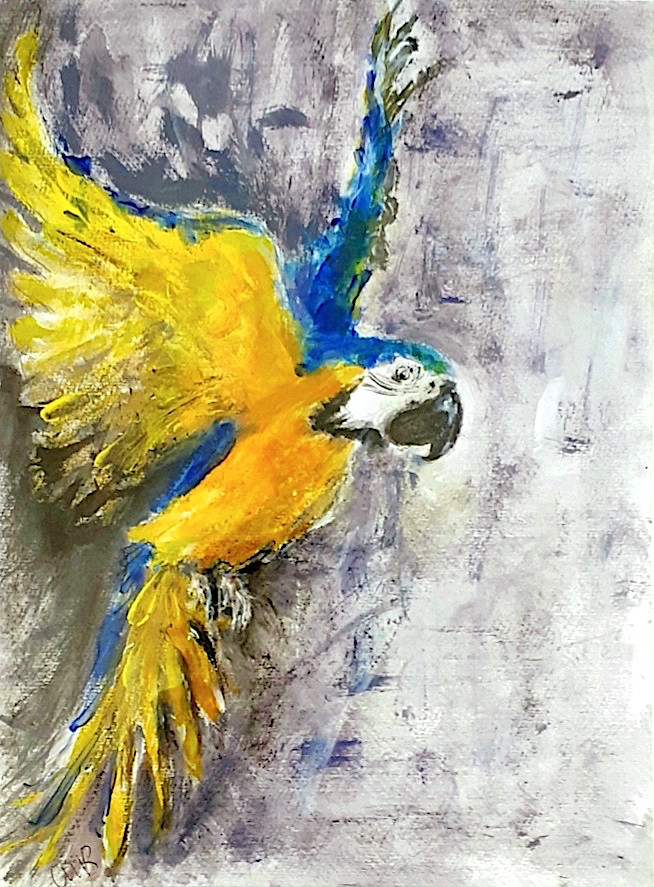 'Macaw' by Caroline Burgess
