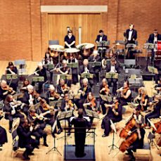 Wolsey Orchestra - Concert