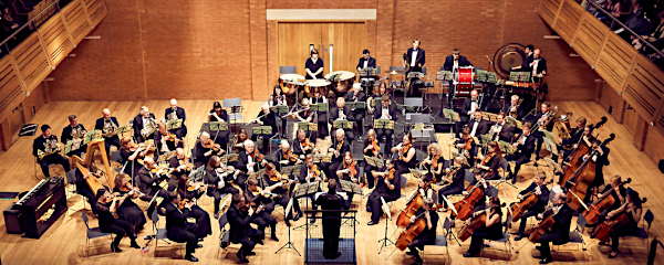 Wolsey Orchestra - Concert
