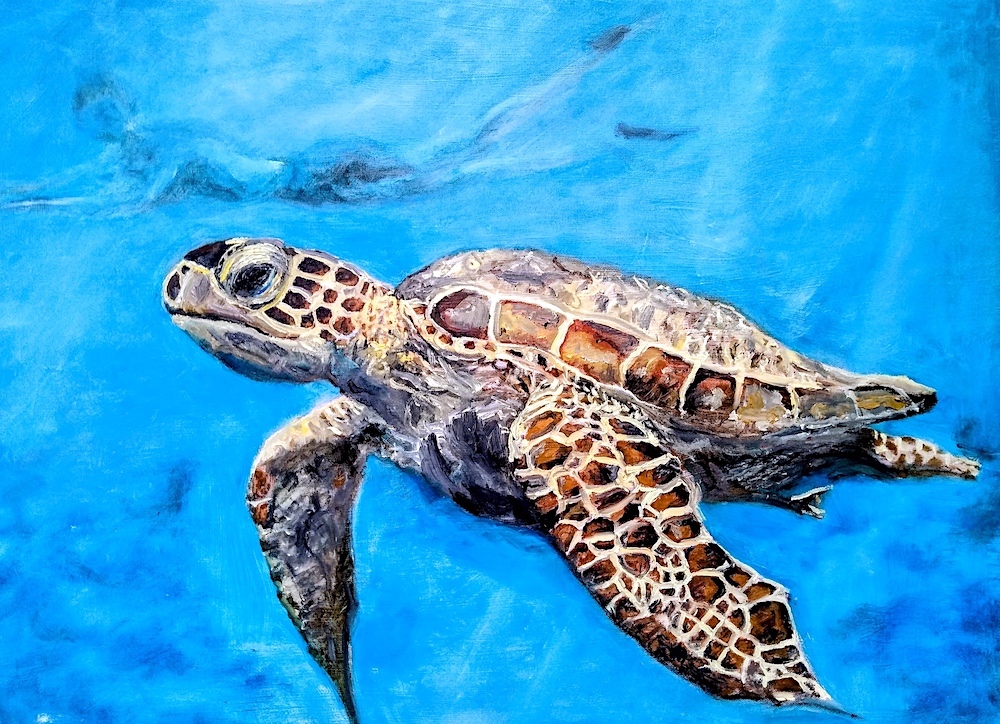 AManada given painting - Alex and The Sea Turtle